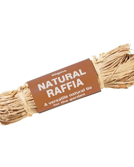 50g de raphia naturel
