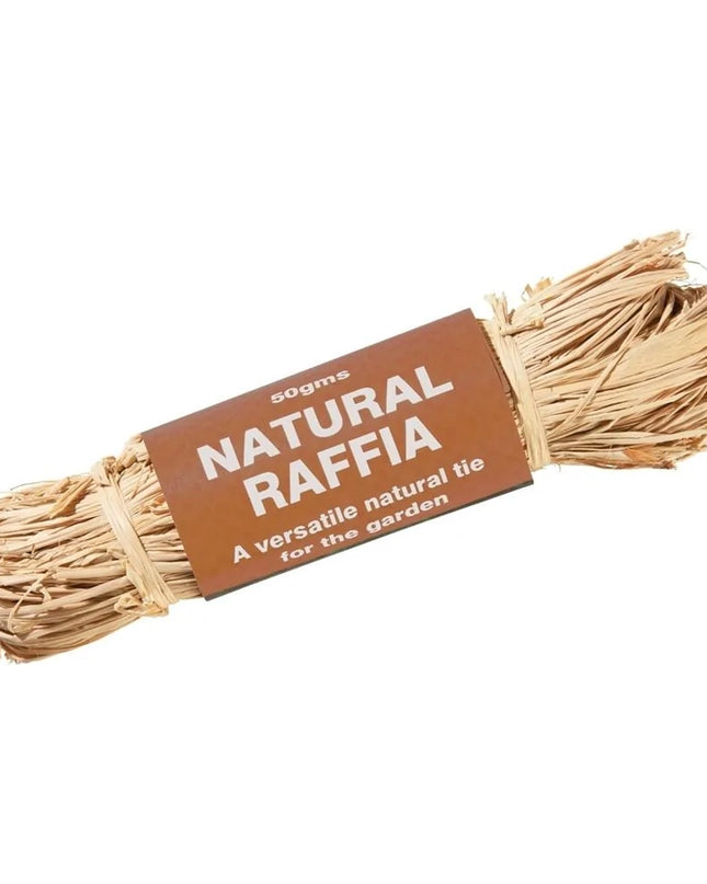 50g de raphia naturel