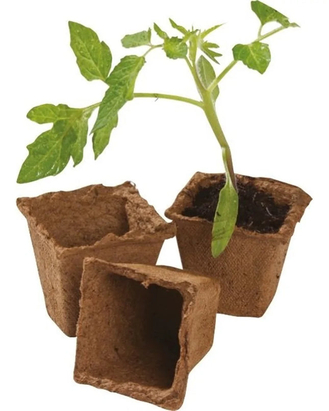 80 pots carrés en fibre de 6 cm (pack extra value)