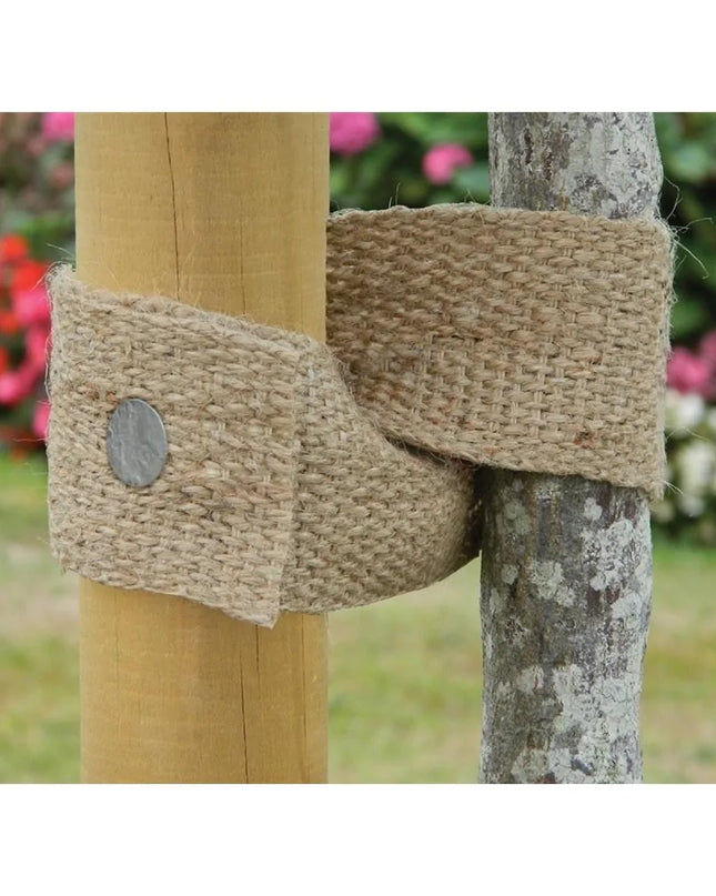 Attache d'arbre en toile naturelle de 5 m x 5 cm