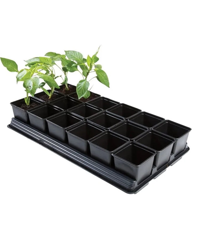 Bac à légumes professionnel (pots carrés de 18 x 9 cm)
