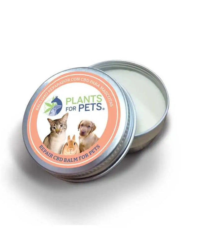 Baume CBD réparateur animaux strong | PLANTS FOR PETS