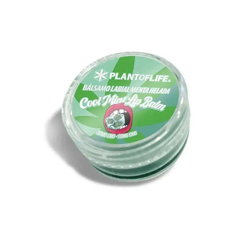 Baume lèvres CBD & CBG menthe | PLANT OF LIFE