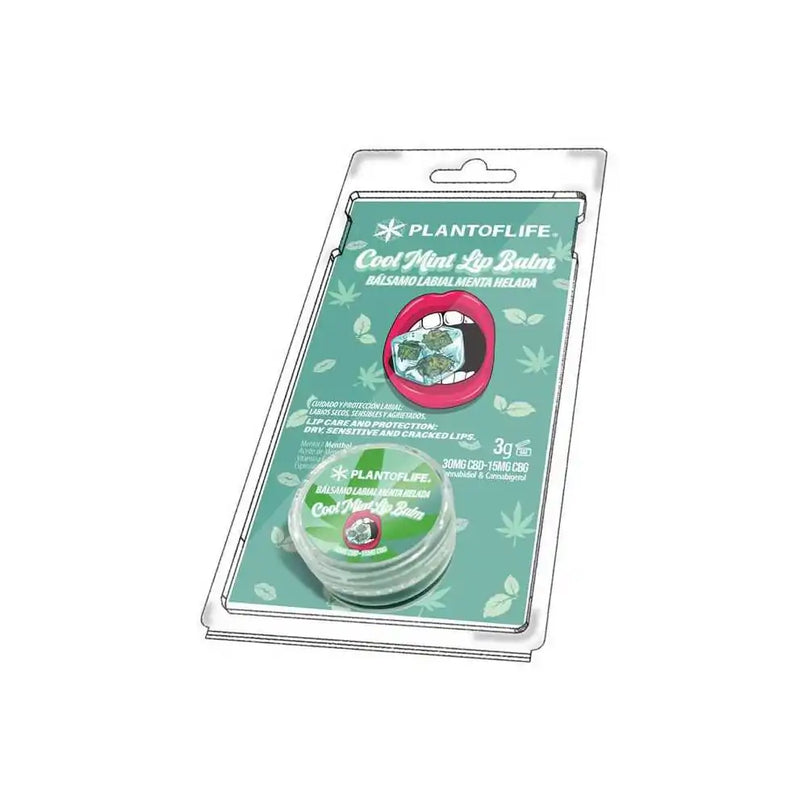 Baume lèvres CBD & CBG menthe | PLANT OF LIFE