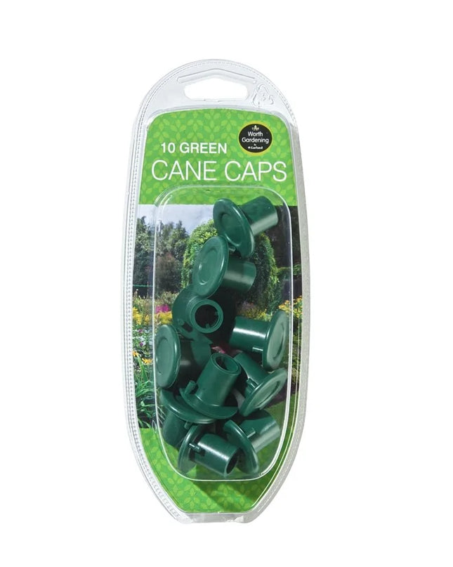 Capuchons de canne lot de 10