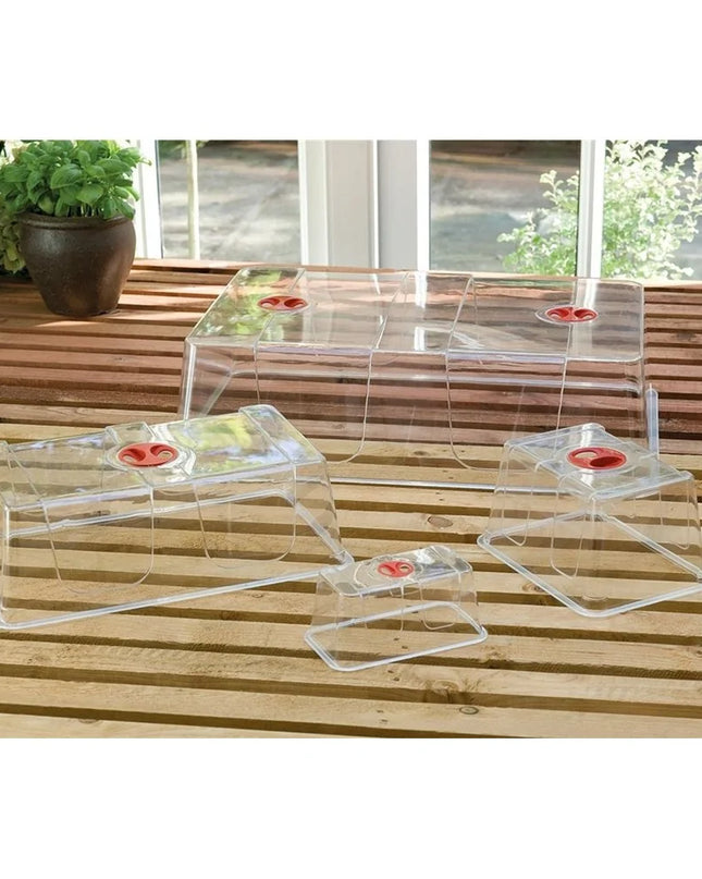 Couvercle de serre propagateur Mini High Dome