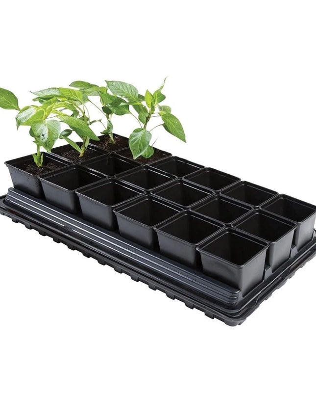 Ensemble de bacs à légumes professionnels (pots carrés de 18 x 9 cm, plateau, bac à eau et tapis de protection)