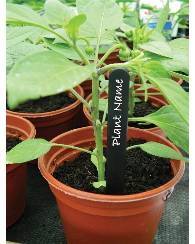 Étiquettes pour plantes noires 13cm lot de 25