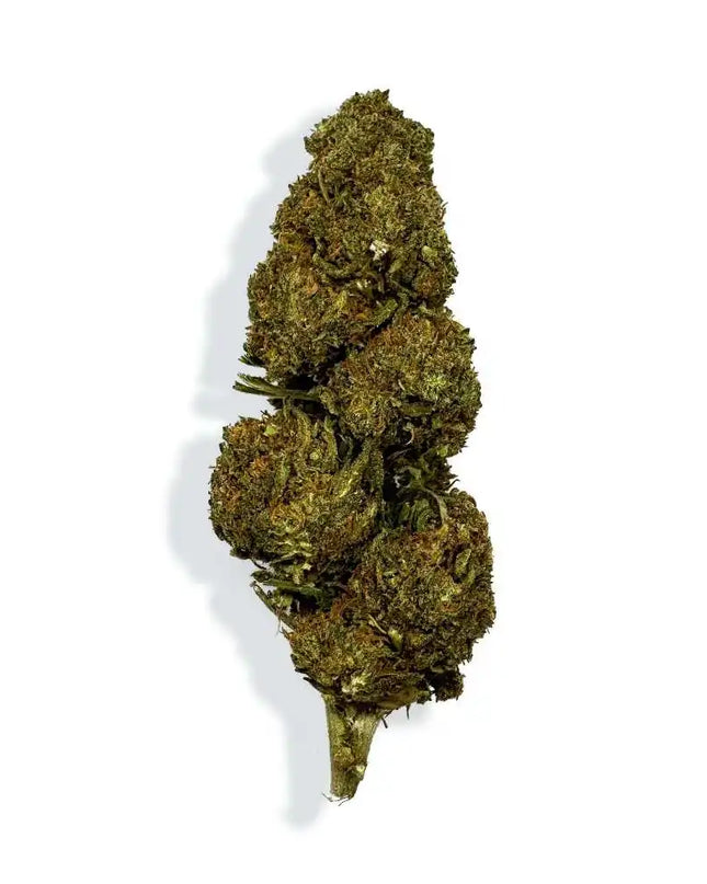 Fleur de CBD - BLUEBERRY
