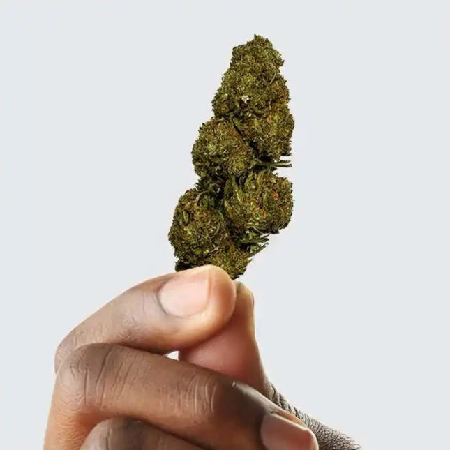 Fleur de CBD - BLUEBERRY