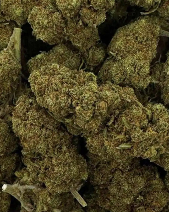 Fleur de CBD - BLUEBERRY