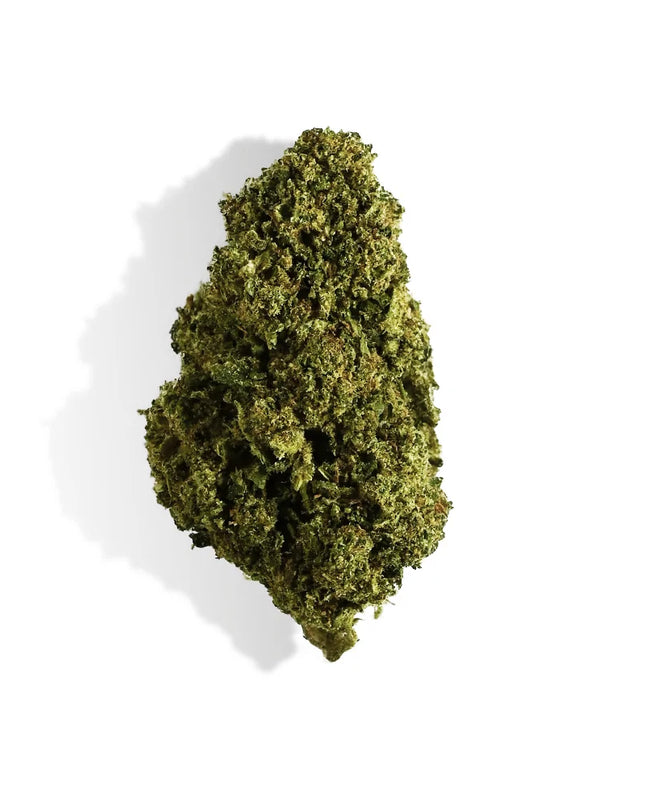 Fleur de CBD - BUBBLEGUM