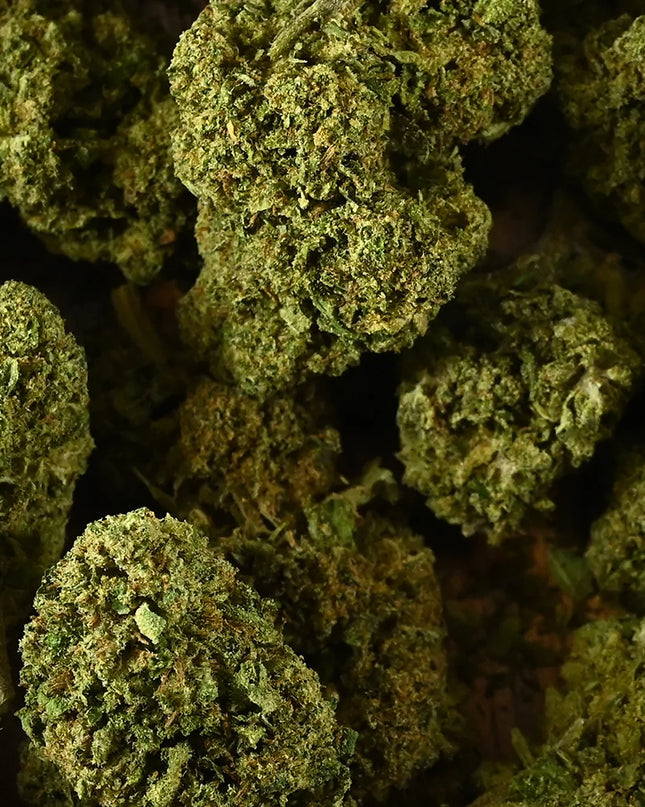 Fleur de CBD - BUBBLEGUM