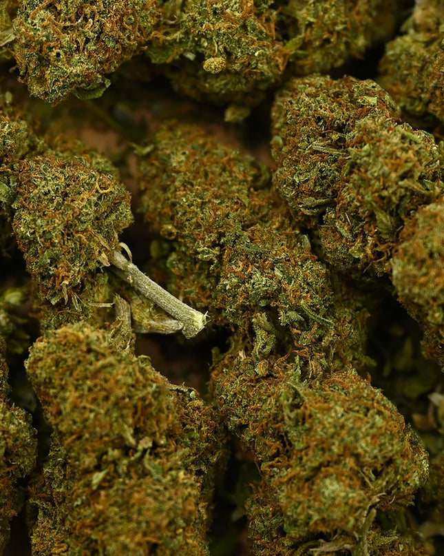 Fleur de CBD - CANDY KUSH