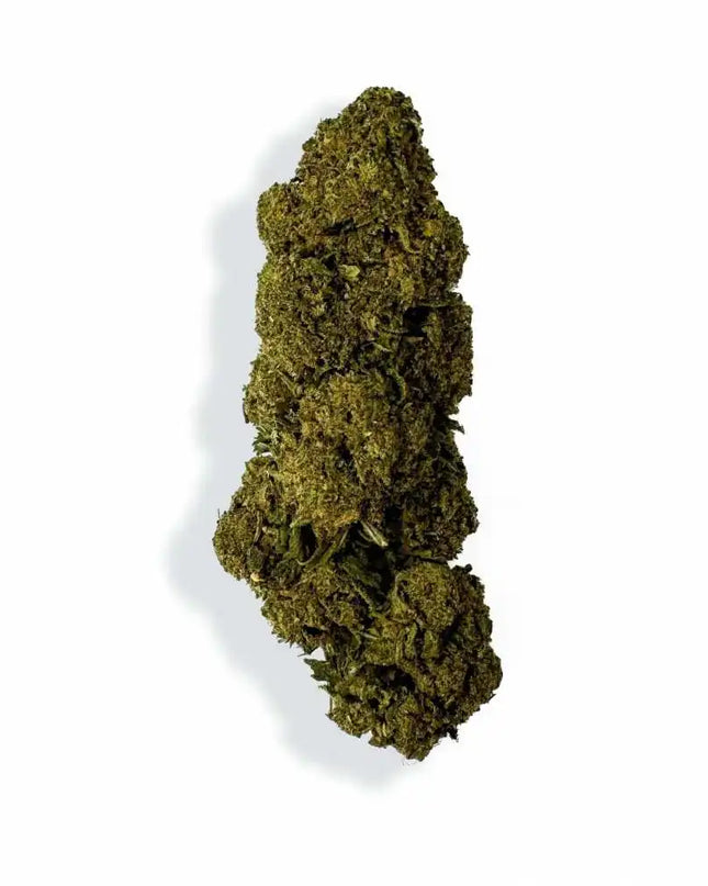 Fleur de CBD - CHARLOTTE'S WEB