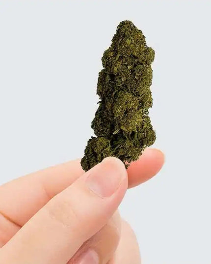 Fleur de CBD - CHARLOTTE'S WEB