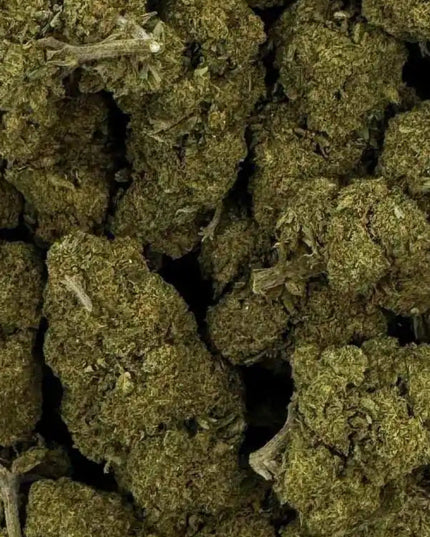 Fleur de CBD - CHARLOTTE'S WEB