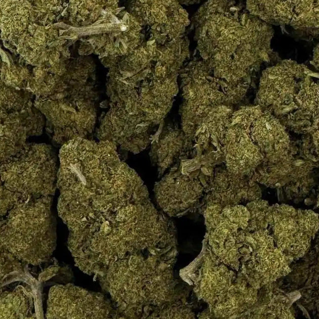Fleur de CBD - CHARLOTTE'S WEB