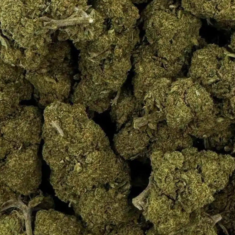 Fleur de CBD - CHARLOTTE'S WEB