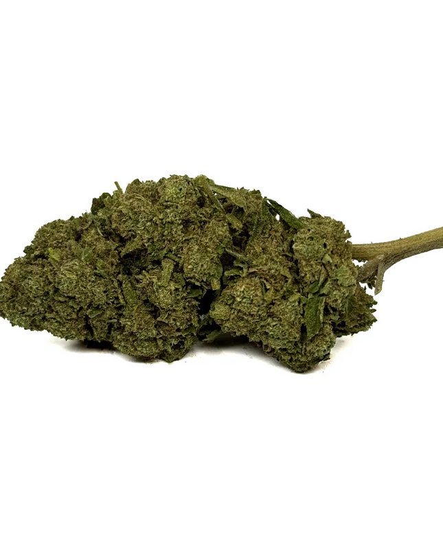 Fleur de CBD OG Kush Greenhouse