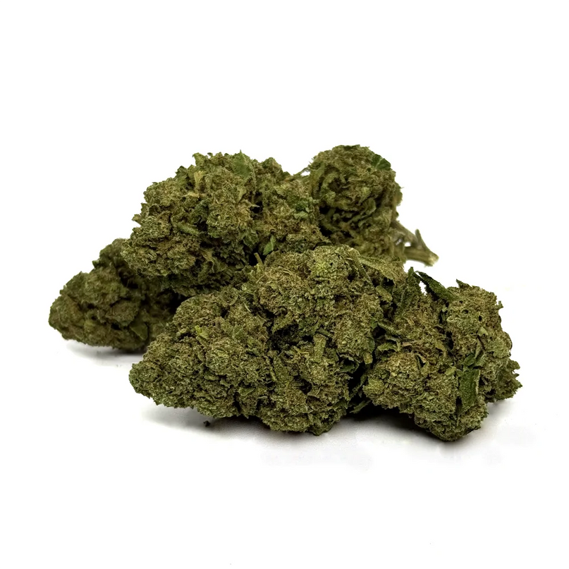 Fleur de CBD OG Kush Greenhouse