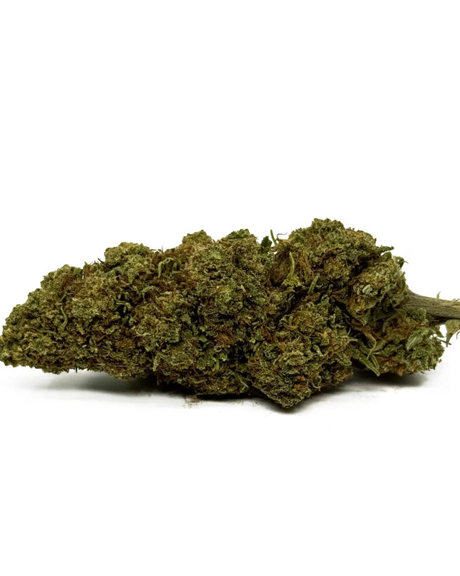Fleur de CBD Orange Bud Greenhouse