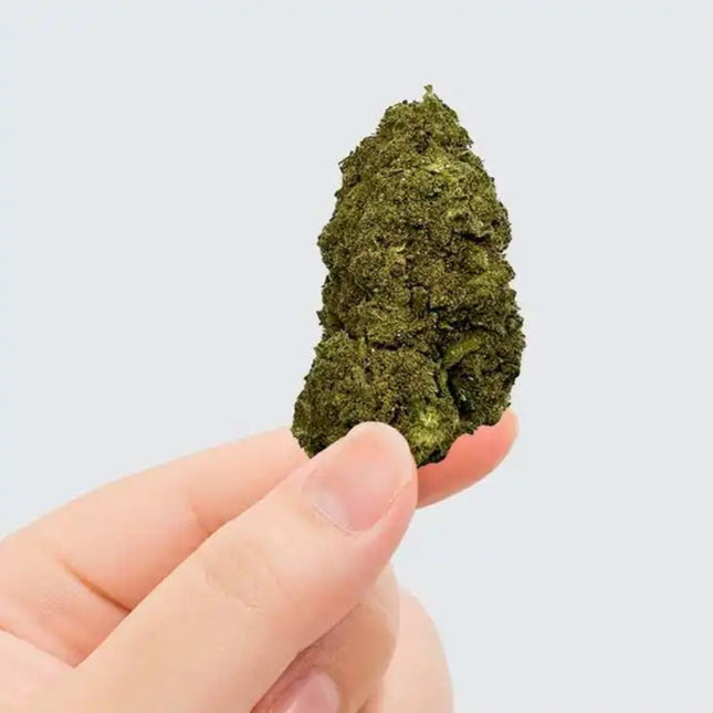 Fleur de CBD - PINK LADY KUSH