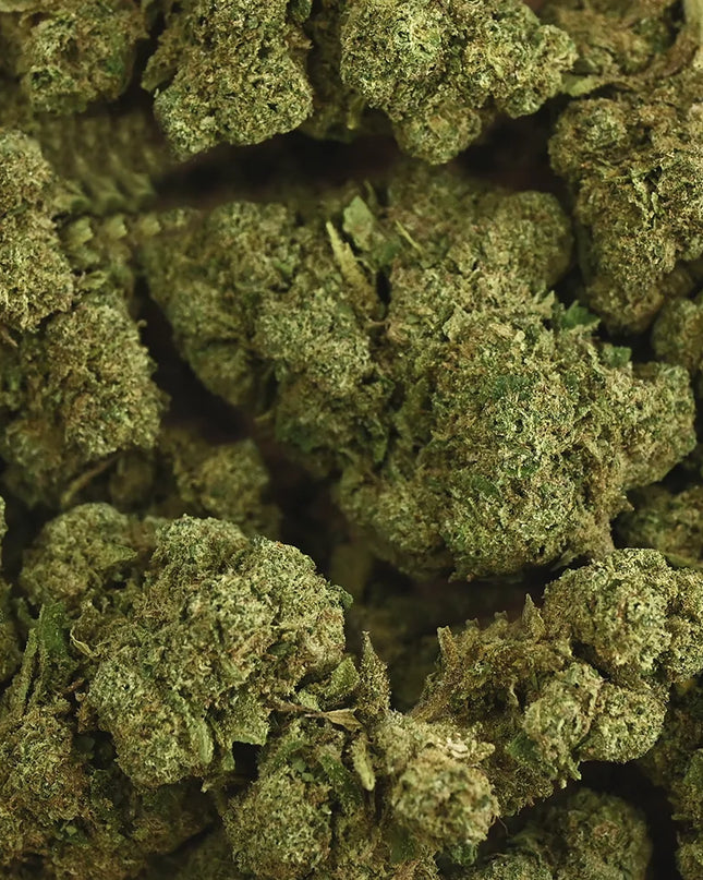 Fleur de CBD - RAINBOW KUSH