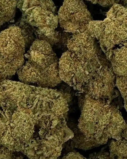 Fleur de CBD - RASPBERRY HAZE