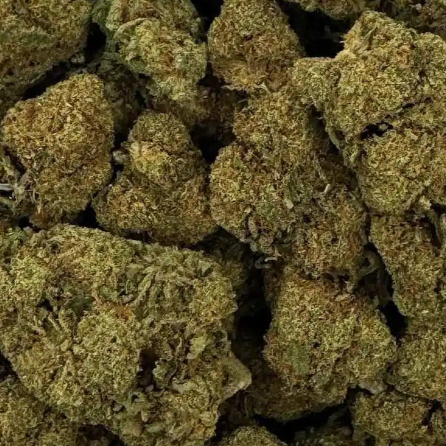 Fleur de CBD - RASPBERRY HAZE