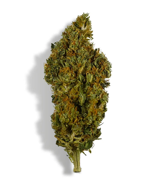 Fleur de CBD - SHERBET