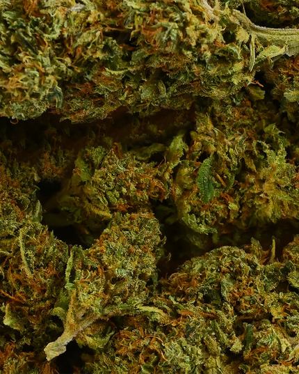 Fleur de CBD - SHERBET