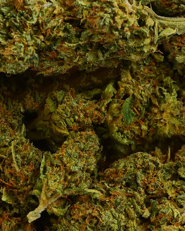 Fleur de CBD - SHERBET