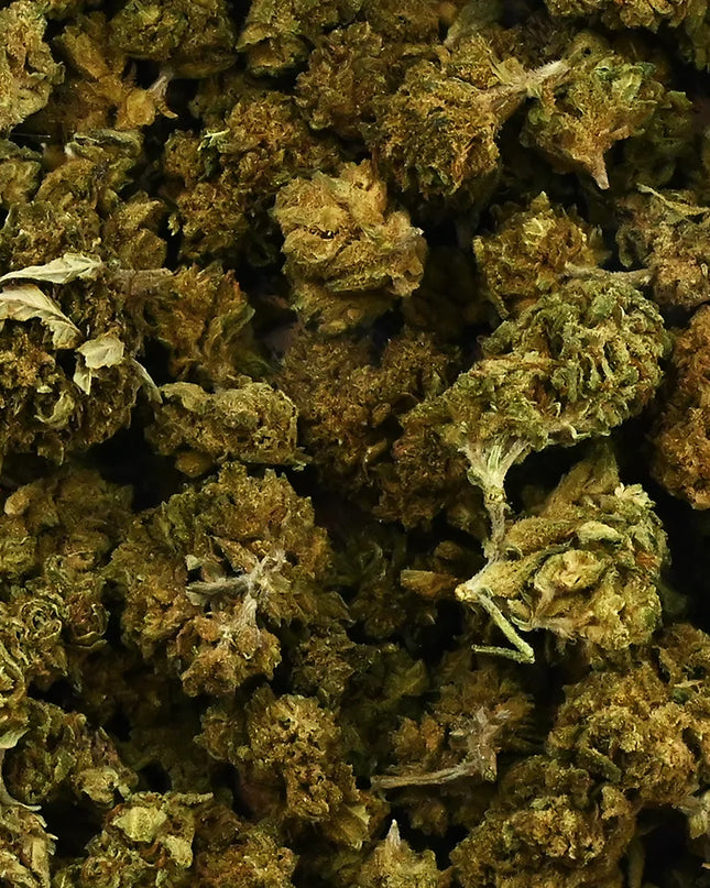 Fleur CBD Mixte Small & Big Bud