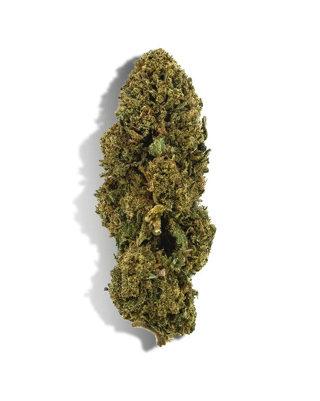 Fleur de CBD - WHITE DAWG