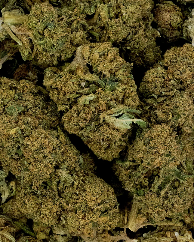 Fleur de CBD - WHITE DAWG
