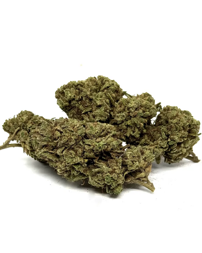 Fleur de CBD White Widow Greenhouse