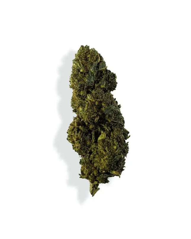 Fleur de CBN/CBC - GELATO