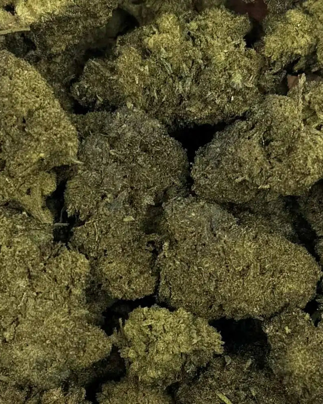 Fleur de CBN/CBC - GELATO