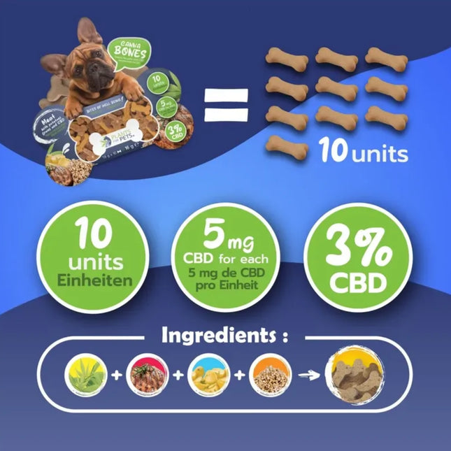 Friandise au CBD chien | PLANTS FOR PETS