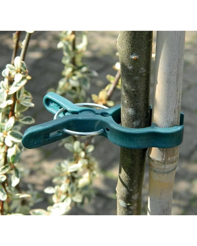 Grandes pinces à plantes lot de 5
