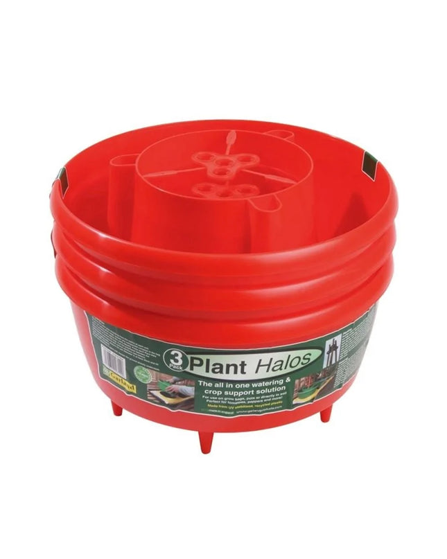 Halos de plantes (lot de 3) rouge