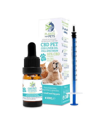Huile animaux CBD 10% CBG 1% | PLANTS FOR PETS