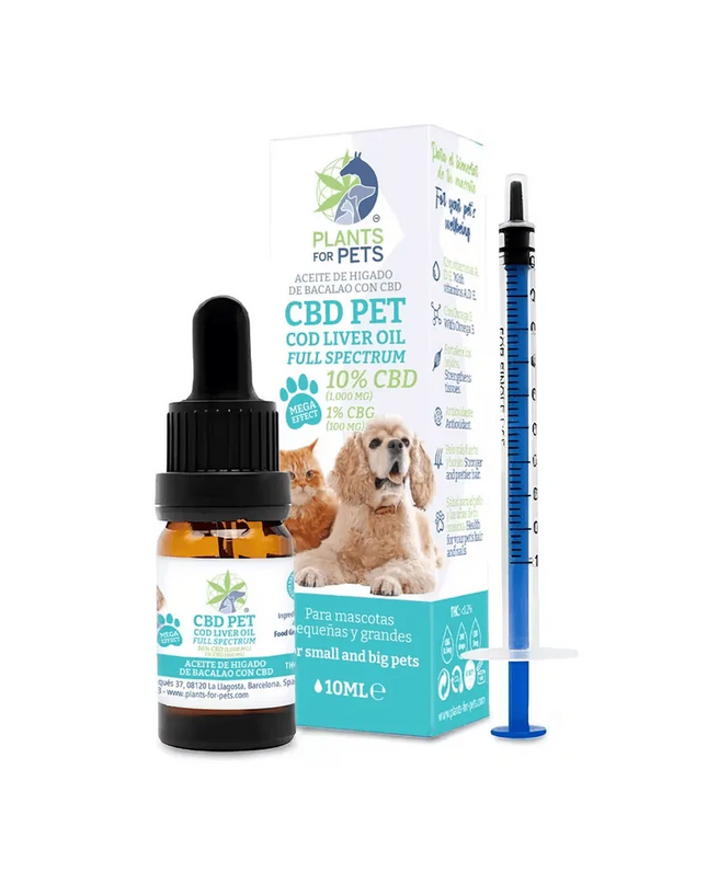 Huile animaux CBD 10% CBG 1% | PLANTS FOR PETS