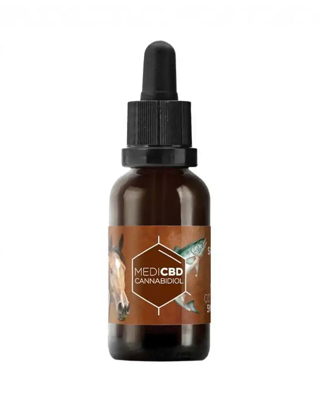 Huile CBD 10% broad spectrum cheval | MEDICBD