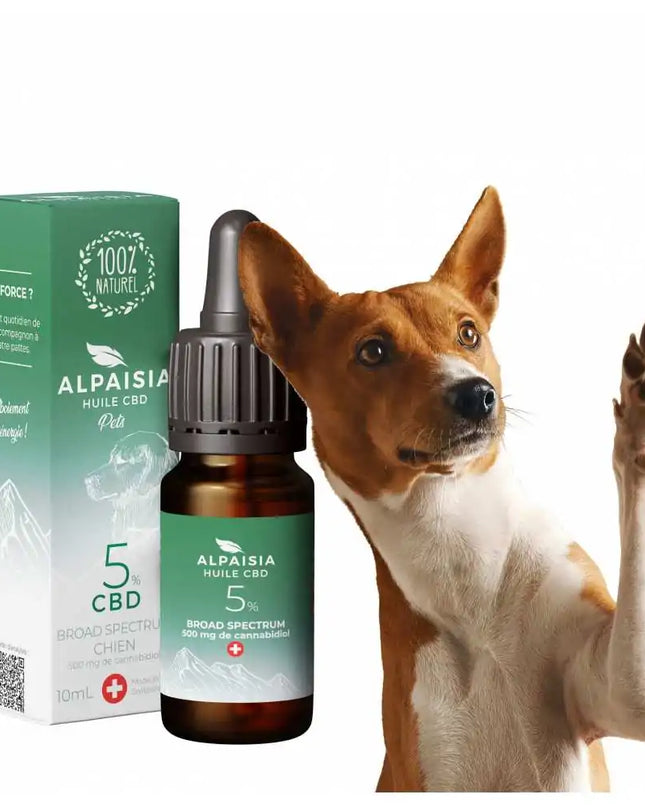 Huile CBD 5% broad spectrum chien | ALPAISIA