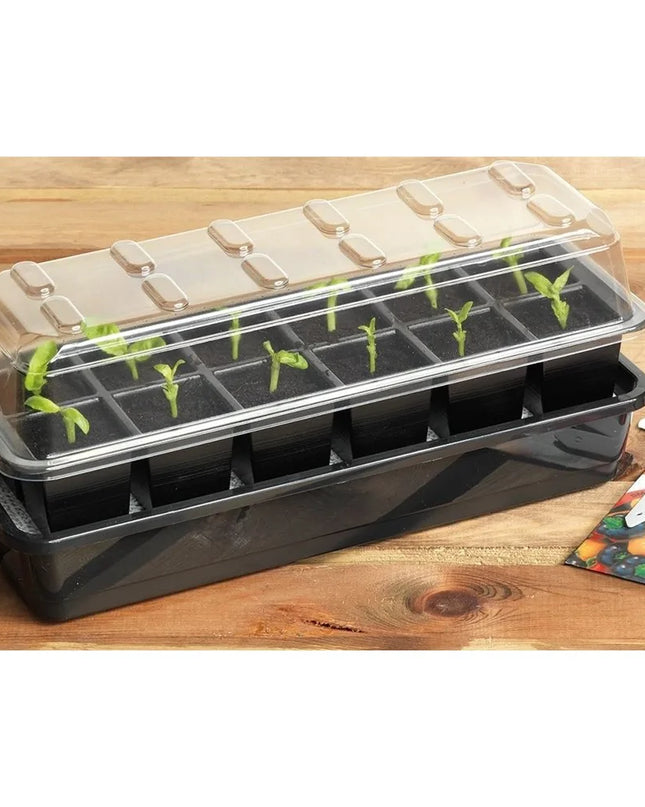 Kit de graines à arrosage automatique à 12 cellules + 12 Granulés