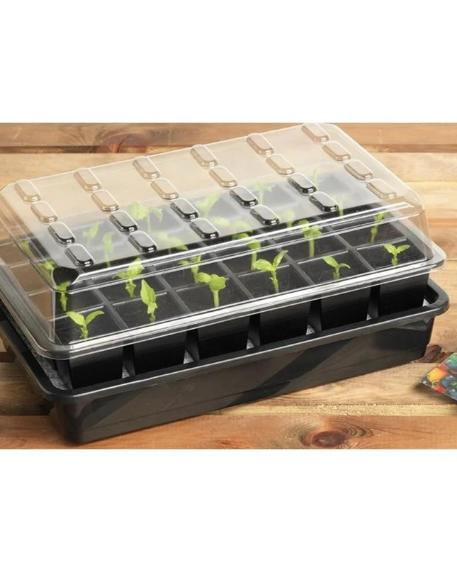 Kit de graines à arrosage automatique à 24 cellules + 24 Granulés