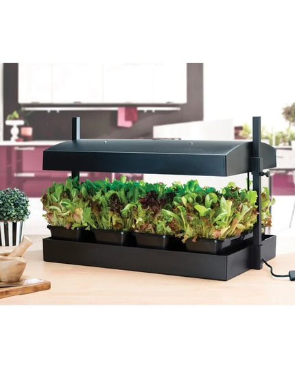Lampe de culture Grow Light Jardin Noir