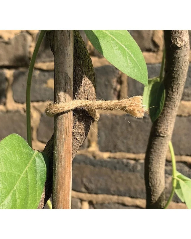 Lien torsadé jute naturel 5m